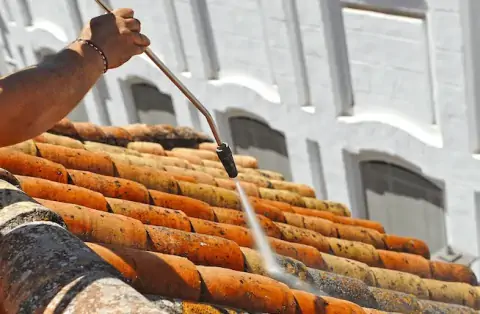 Nettoyage de toitures - Vaulnaveys-le-Bas